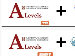 Alevel学生想在寒假弯道超车拿A*，这样