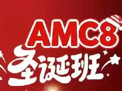 犀牛AMC8冲刺班，考前20/30h全程干货名