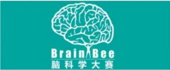 2025BrainBee关键时间轴来啦！地区赛备