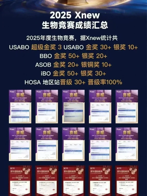 2025 Xnew 化学竞赛成绩汇总：UKCHO/CCC/JCCO