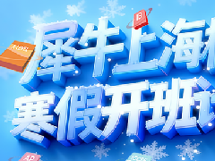 犀牛ALEVEL寒假班，牛剑导师团队带你弯道超车，大考轻松拿A*！