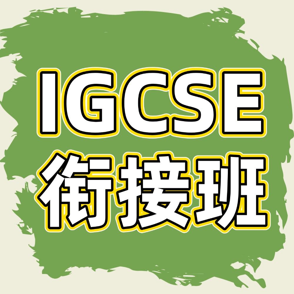 犀牛igcse暑期衔接班课程，体制内学生完美衔接国际学校！