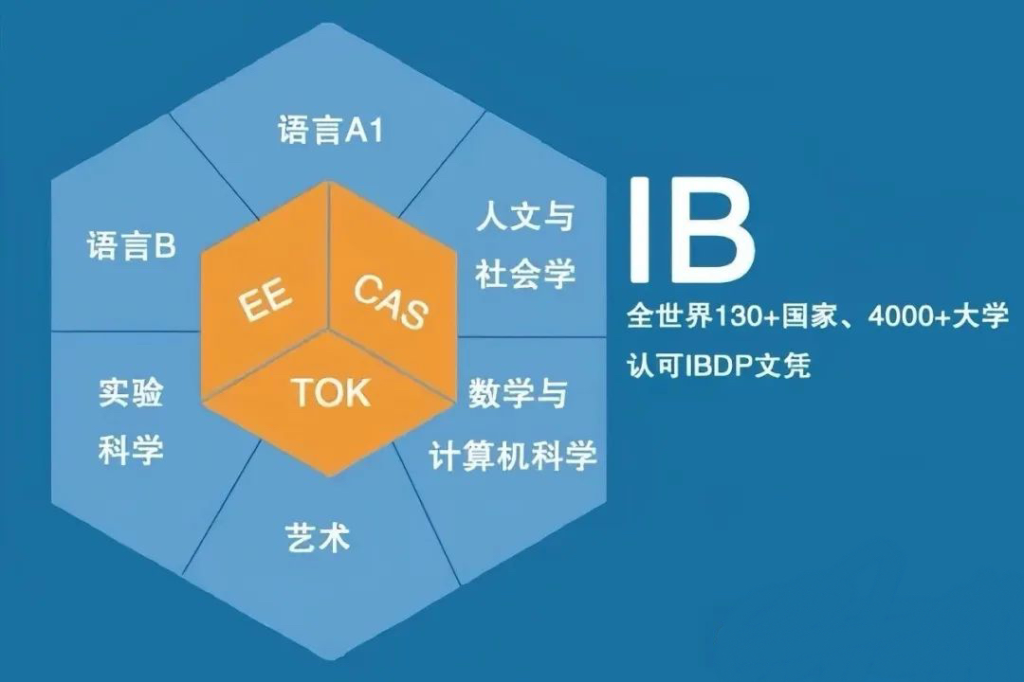 IB课程中的IA又是什么？_犀牛国际教育_官方网站_国际竞赛|AMC|BPhO|USACO|AP|IB|Alevel|IGCSE_犀牛国际竞赛培训课程