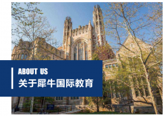 犀牛国际教育 | 扎根本土，迈向卓越的国际教育品牌