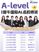 如何学好Alevel数学?零基础高效备考方