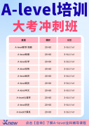 国际学校频踩雷!转学还是脱产读Ale