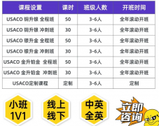 犀牛国际教育USACO竞赛新赛季培训课程