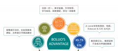 南京犀牛国际ALevel脱产一年制-名师助力冲刺名校