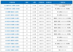 冲A*首选!犀牛IGCSE暑假班，3-8人精品小