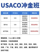USACO等级到底是怎么划分的？附犀牛教育UASCO竞赛课程！