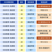 广州&深圳DSE培训课程,陆港两地联