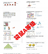 别让孩子裸考袋鼠了，真题先刷起来（免费领）