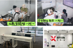 广州天河区犀牛国际IGCSE暑期班-线上