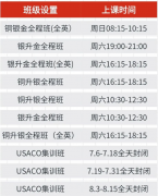 犀牛USACO铜升银课程|50小时零基础直