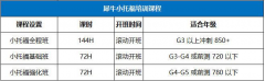 上海小托福培训班机构推荐!犀牛小托