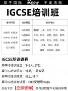 IG 全科课程培训|全程班/冲刺班/全日
