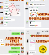 硬核师资坐镇!合肥犀牛Alevel名师团队