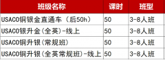 USACO比赛使用哪种语言有优势?不同年