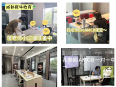 成都犀牛国际 AMC8 辅导班|资深名师授