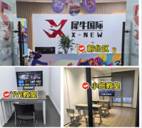 犀牛IG/A-Level暑期线下班 徐汇/浦东/黄