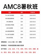 隐形加分项？北上广深牛娃偷偷在学