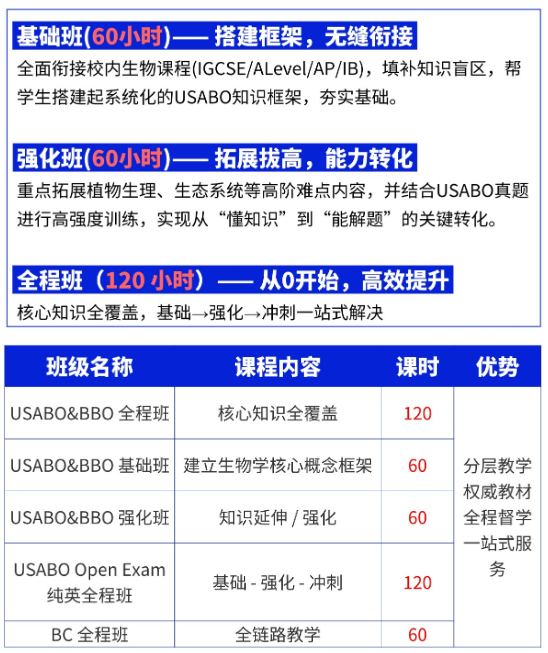 文章内容