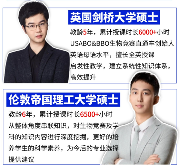 文章内容相关内容配图2