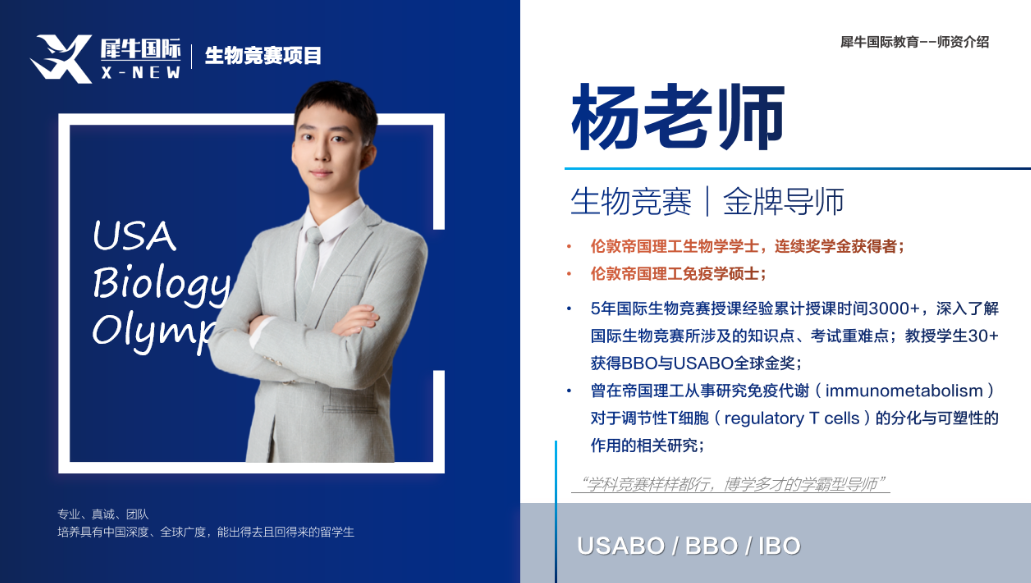 文章内容相关内容配图2