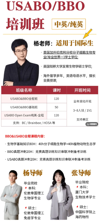 一文读懂 BBO竞赛:认可度、考点、参赛年级等 附犀牛BBO培训班