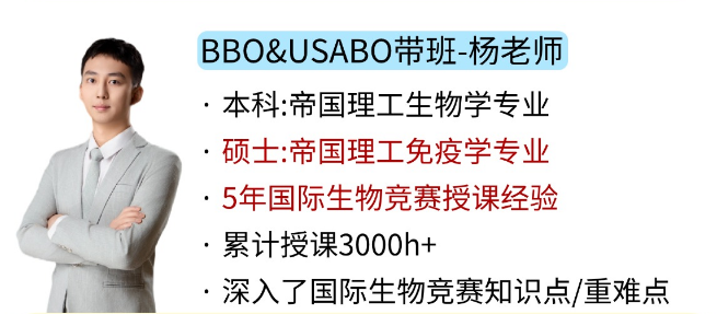 文章内容相关内容配图2