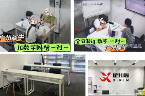 26年IGCSE(新高一)课程培训-犀牛国际IGCSE秋季开学周末班介绍相关内容配图2