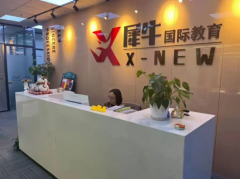 犀牛上海AMC8线下课程金牌班，徐汇黄
