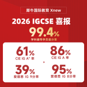 IG入门跟不上?零基础高效适配指南|犀