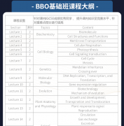 BBO竞赛难度解析，自学容易踩坑，犀