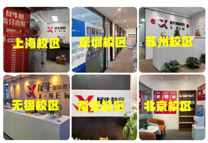 AMC8什么时候考试，AMC8高效备考方法，犀牛AMC8竞赛培训。