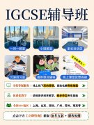 IGCSE课程培训！IG数学/物理/化学/生物