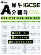 犀牛IG/A-Level冲刺班热招｜IG/A-Level秋季